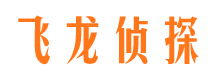 郏县侦探